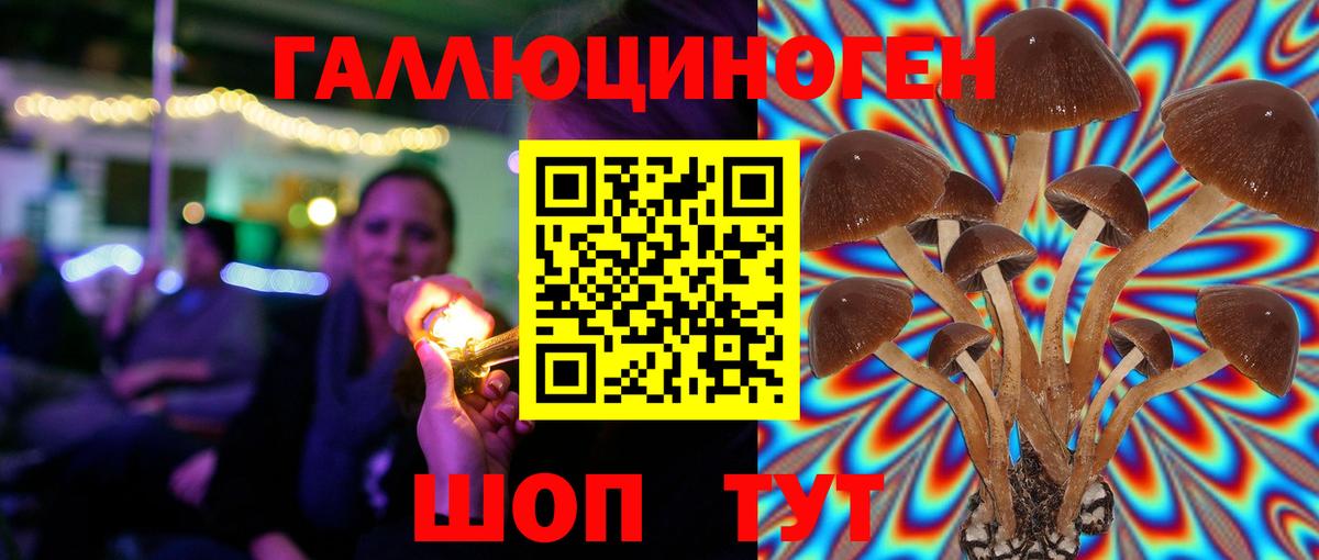 Псилоцибиновые грибы GOLDEN TEACHER  Псилоцибиновые грибы мухоморы  наркошоп  Малгобек  Вход с VPN 